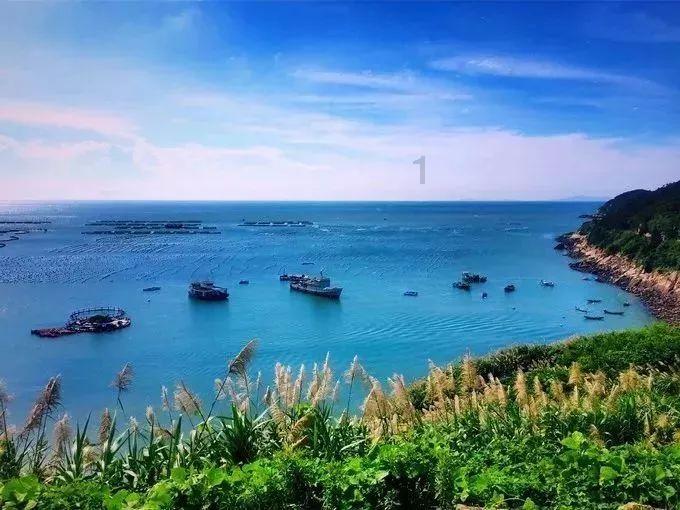 脑洞小老弟无实名认证