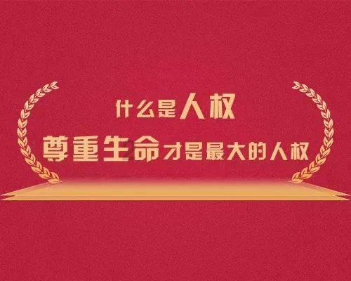 小猫钓鱼开船版最新版下载