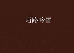海绵宝宝寻珍宝